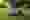 6cb3c5dbe634a7e81980a199aee15af1804a30b0